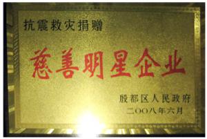 慈善明星企業