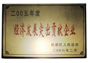 經濟發展突出貢獻